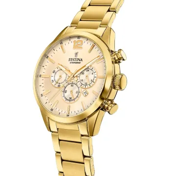 Montre  Festina F20633/4 Beige, Homme