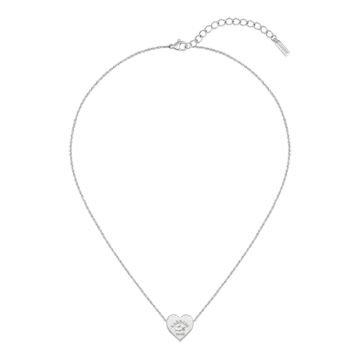 Collier Acier Inoxydable 316L Lacoste  Couleur Circonference Interieure 406Mm Crochet Lacoste Bijoux