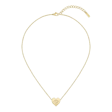 Collier Acier Inoxydable 316L Lacoste  Couleur Circonference Interieure 406Mm Crochet Lacoste Bijoux