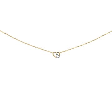 Collier Double Coeur Bicolore