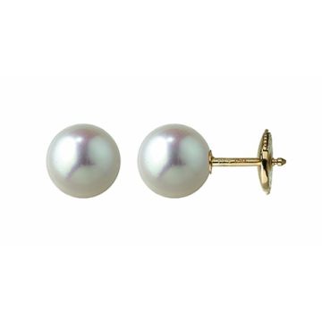 Boucles D'Oreilles Pc Eau Douce