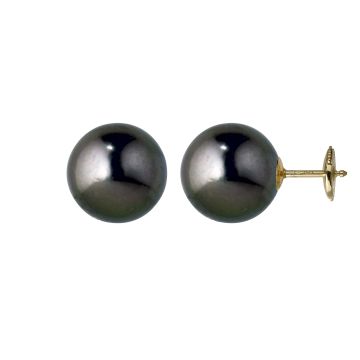 Boucles D’Oreilles Pc Tahiti