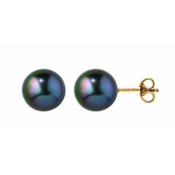 Boucles D'Oreilles Pc Tahiti