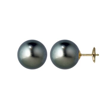 Boucles D'Oreilles Pc Tahiti