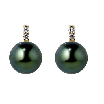 Boucles D'Oreilles Pc De Tahiti Et Dts