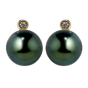 Boucles D'Oreilles Pc De Tahiti Et Dts