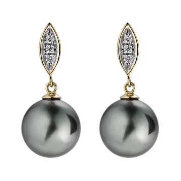 Boucles D'Oreilles Pc De Tahiti Et Dts
