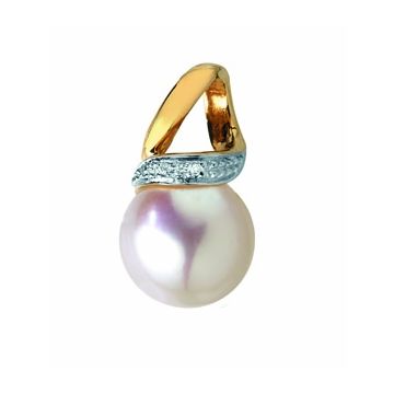 Pendentif Pc Eau Douce Et Dts