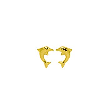 Boucles D’Oreilles Vis Dauphin