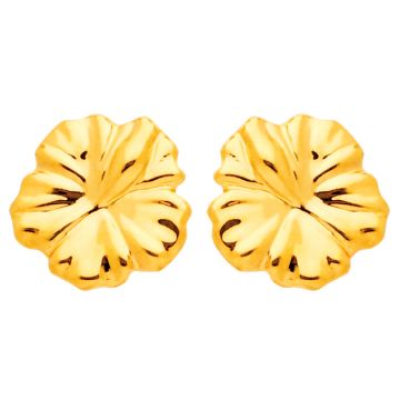 Boucles D'Oreilles Vis Hibiscus