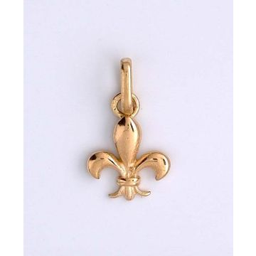Fleur De Lys Or