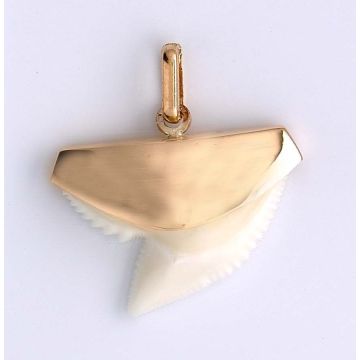 Dent De Requin Or