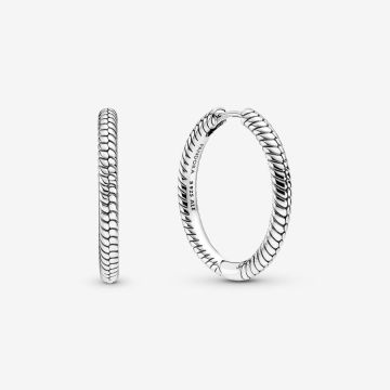 Boucles d'Oreilles Créoles à Charms Pandora Moments
