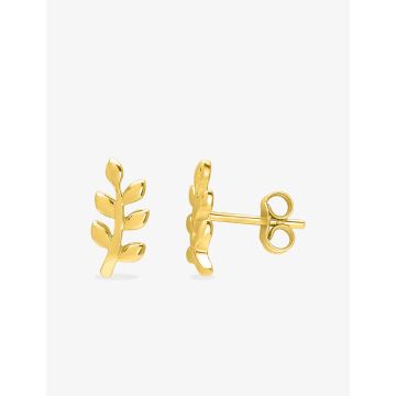 Boucles D'oreilles  Clou Or Jaune