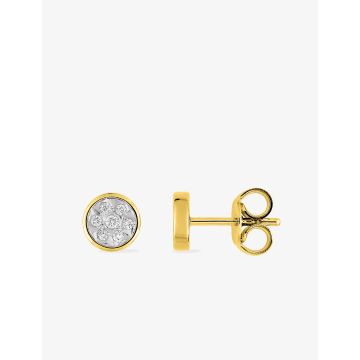 Boucles D'oreilles  Clou Diamant 0.08 Gh-P3 Or375 J Past