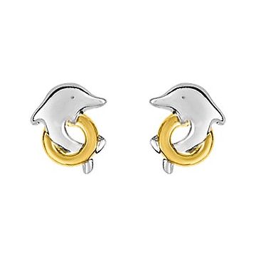 Boucles D'oreilles  Clou+Vis Bicolore