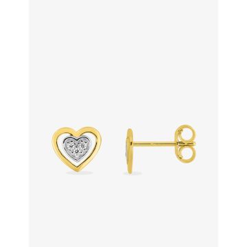 Boucles D'oreille Clou Oxyde Blanc Bicolore