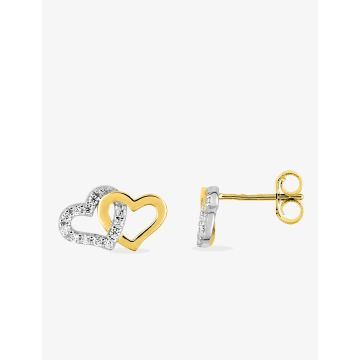 Boucles D'oreille Clous Oxyde Bicolore