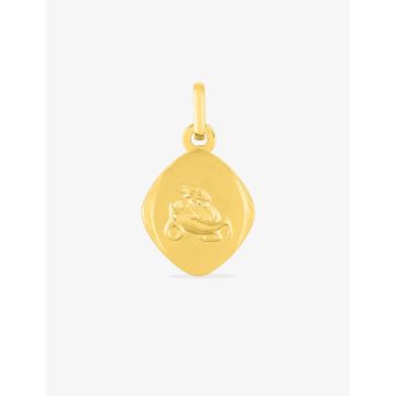 Médaille Capricorne Or Jaune