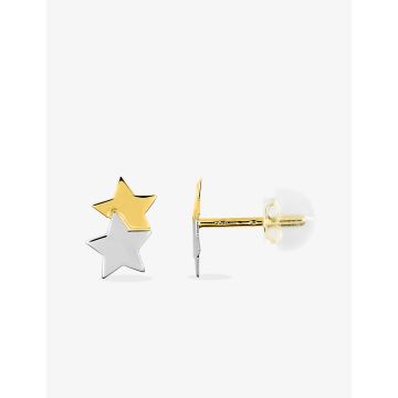Boucles D'oreilles  Clou Bicolore