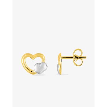 Boucles D'oreilles  Clou Bicolore