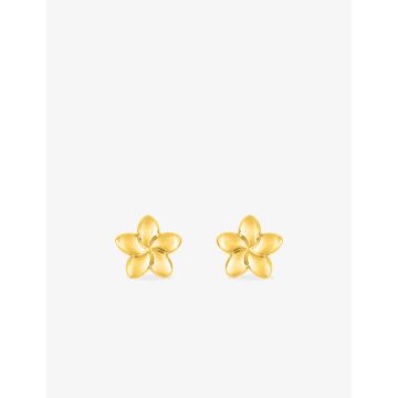 Boucles D'oreilles  Clou Or Jaune