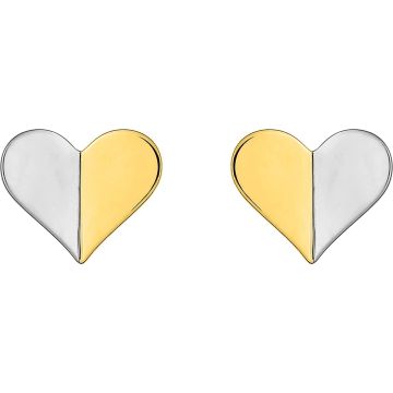 Boucles D'oreilles  Clou Tout Métal Bicolore Or375