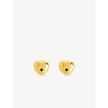 Boucles D'oreille Puces