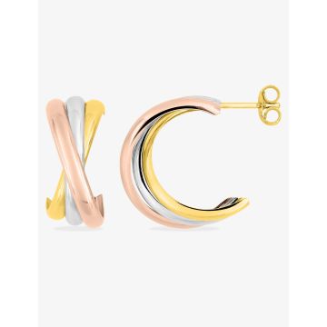 Boucles D'oreille Puces