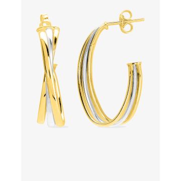 Boucles D'oreilles  Créoles Bicolore