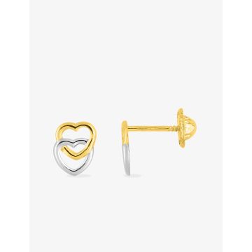 Boucles D'oreilles  Clou+Vis Bicolore