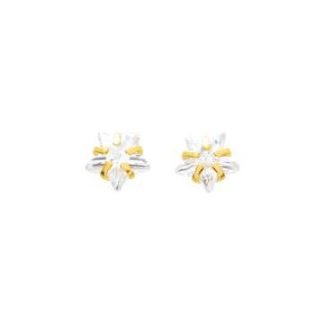 Boucle d'oreille etoile 6mm OZ