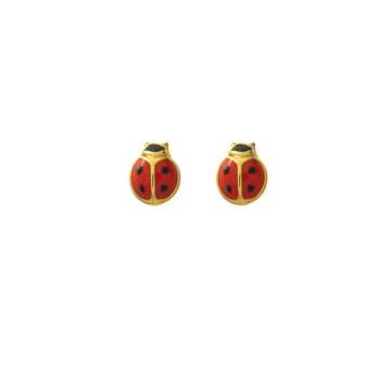 Boucles D'oreille Puces
