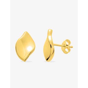 Boucles D'oreilles  Clou  Or Jaune