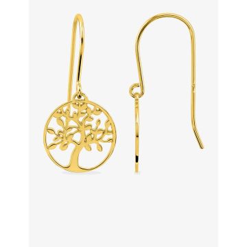 Boucles d'oreilles croch plaqué or