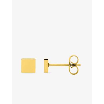 Boucles d'oreilles clou acier doré