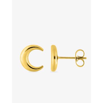 Boucles d'oreilles clou acier doré