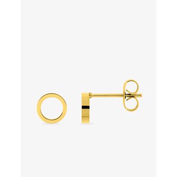 Boucles d'oreilles clou acier doré