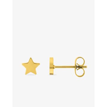Boucles d'oreilles clou acier doré
