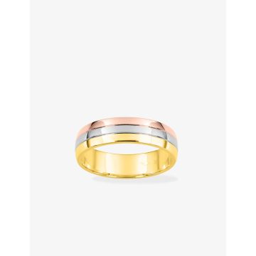Alliance Trois Ors Lisse