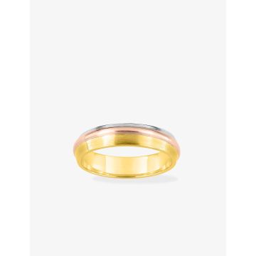 Alliance Trois Ors Lisse